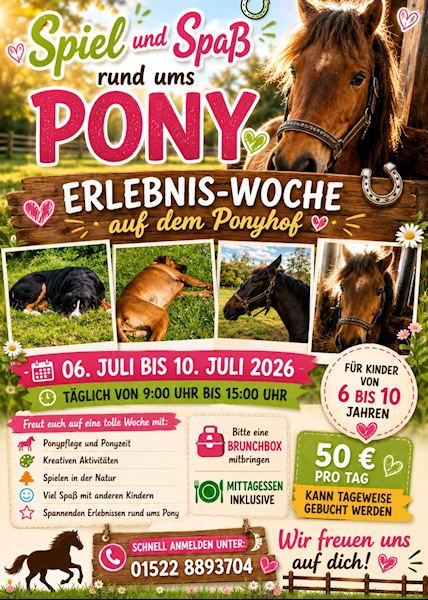 Ferienaktion auf dem Pferde- und Ponyhof Falkenburg für die Sommerferien 2026